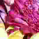 Ƭչʾ˲ͬjpegӦƬļС