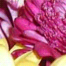 Ƭչʾ˲ͬjpegӦƬļС