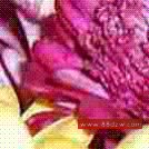 Ƭչʾ˲ͬjpegӦƬļС