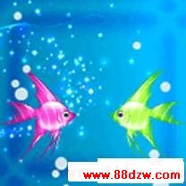 2w48v.gif
´ͼƬ