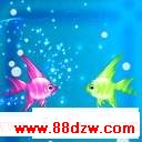 2w48v128.gif
´ͼƬ